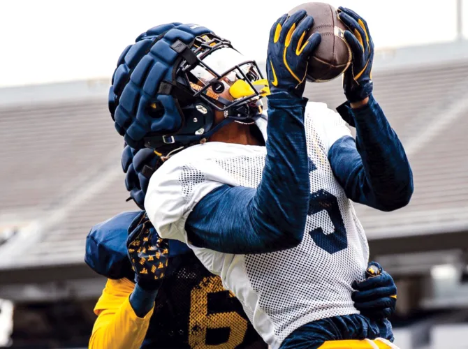 Bray, Woods looking to juke injuries